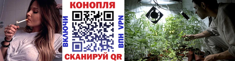 Бошки Шишки OG Kush  наркотики  Щёлково 